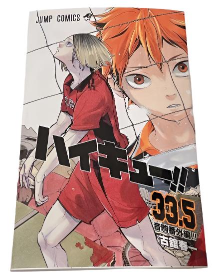 Manga Haikyuu 33.5 Alternative Ver. Version Japonaise