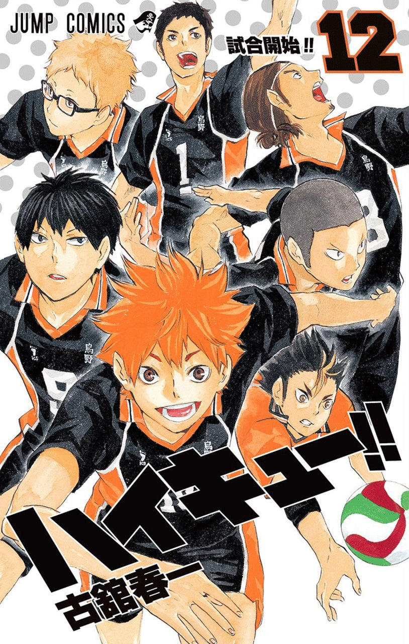 Manga Haikyuu 12 Version Japonaise