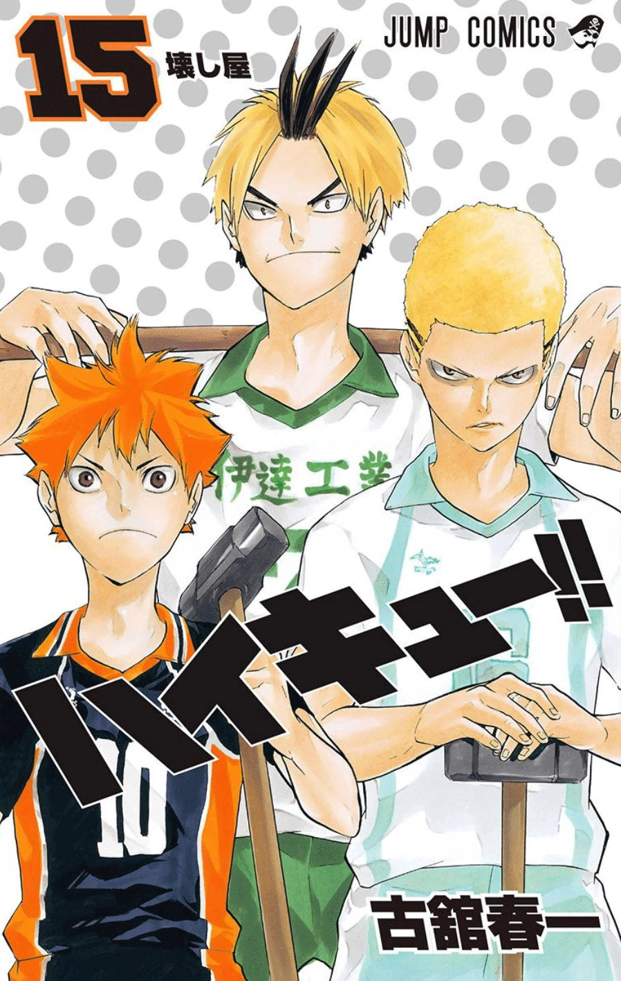 Manga Haikyuu 15 Version Japonaise