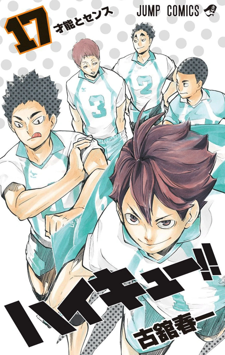 Manga Haikyuu 17 Version Japonaise