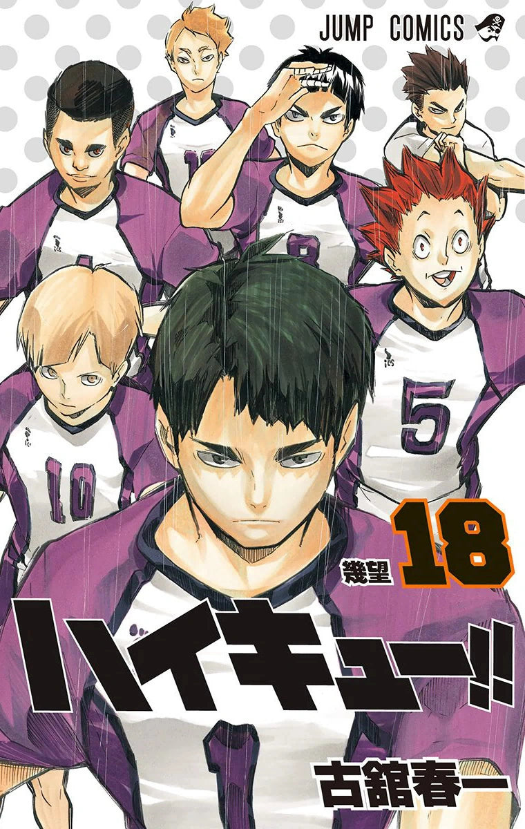 Manga Haikyuu 18 Version Japonaise