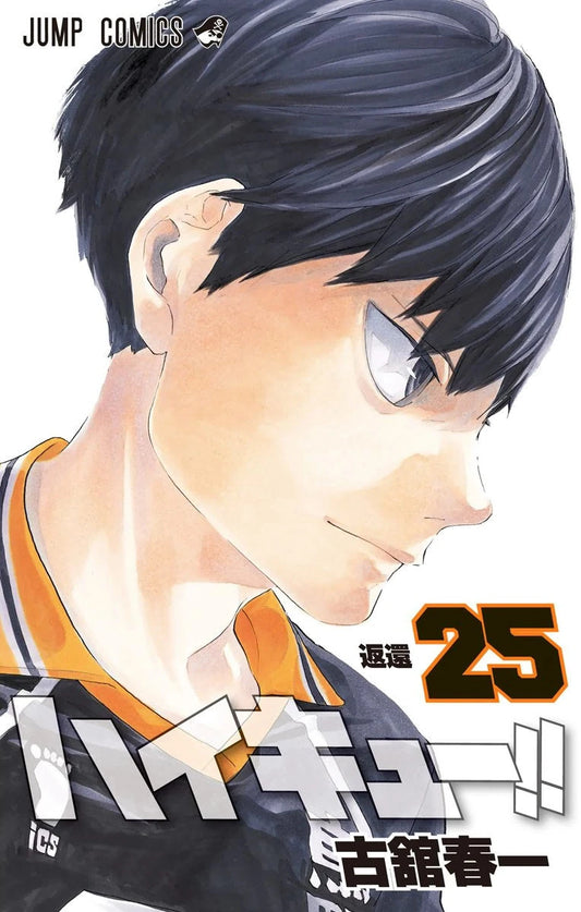 Manga Haikyuu 25 Version Japonaise
