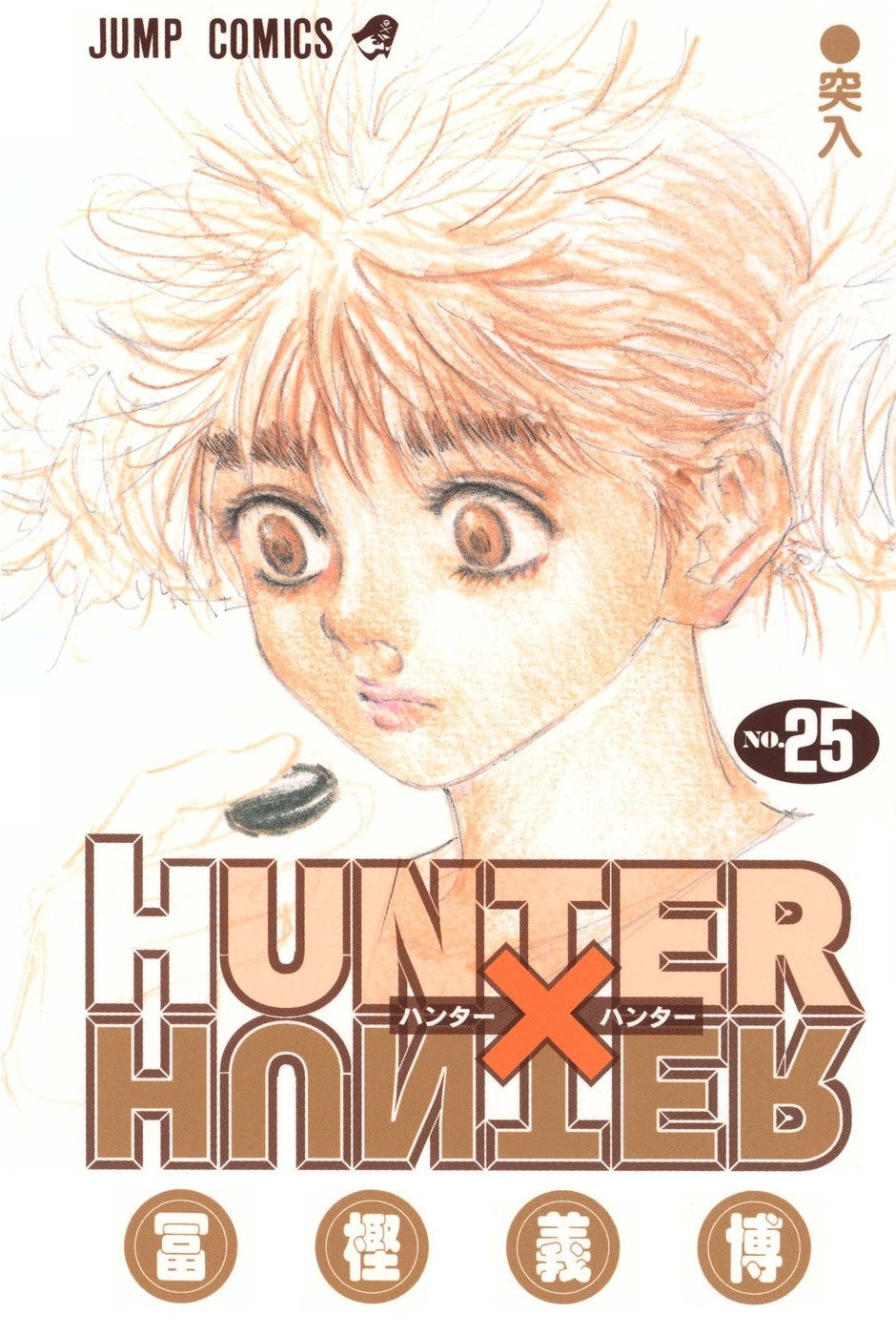 Manga Hunter X Hunter 25 Version Japonaise