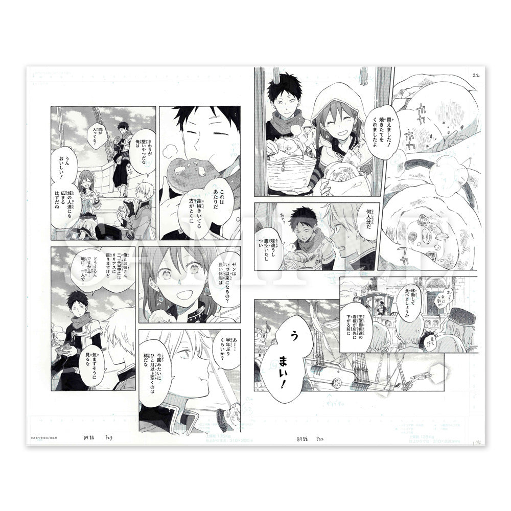 Genga Manuscript Akagami No Shira Yuki Hime 20th Anniversary Au Choix