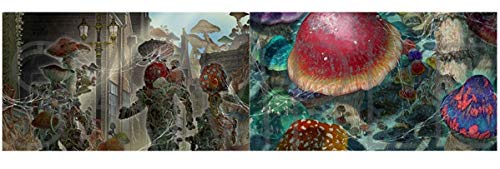 Artbook Dorohedoro Animation Art Book