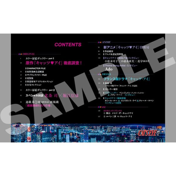 Artbook Mook Cat's Eyes Art Treasure 45th Anniversary Cat's Eyes