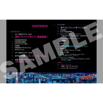 Artbook Mook Cat's Eyes Art Treasure 45th Anniversary Cat's Eyes