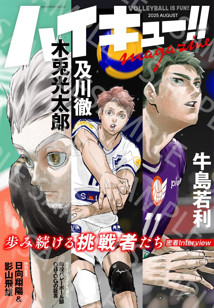 Artbook Haikyuu Magazine Aout 2025