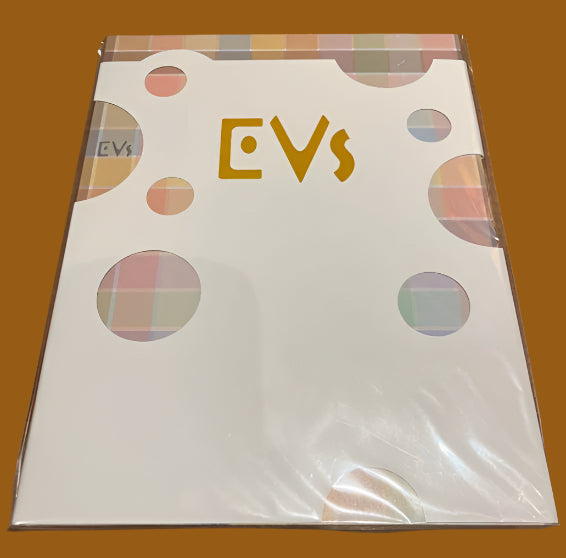 Artbook Pokemon Evs Evoli Art Book