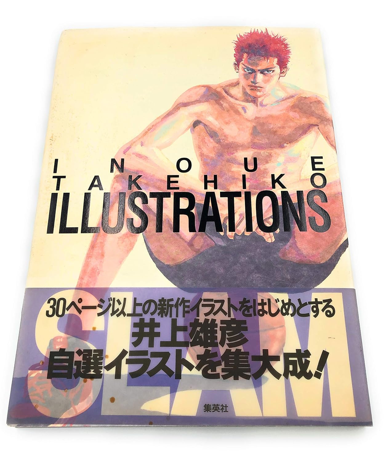 Artbook Slam Dunk Inoue Takehiko Illustrations