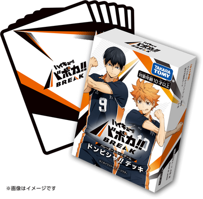 Display HV-P01 Haikyuu Vobaca Decisive Battle at the Garbage Dump
