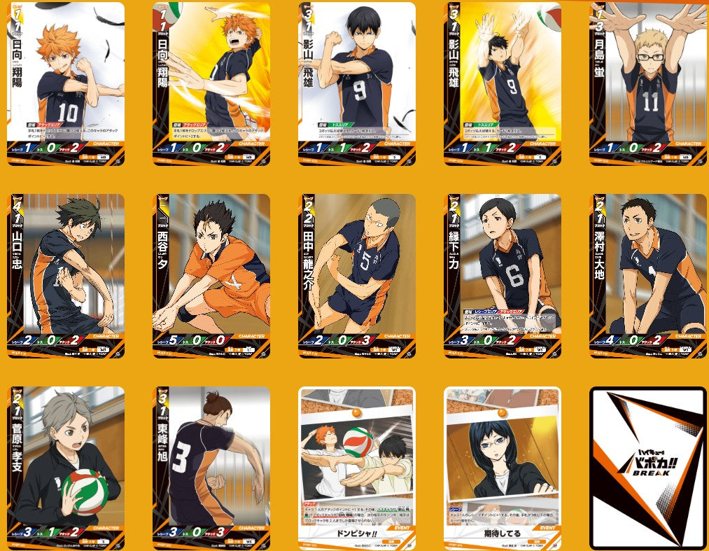 Display HV-P01 Haikyuu Vobaca Decisive Battle at the Garbage Dump