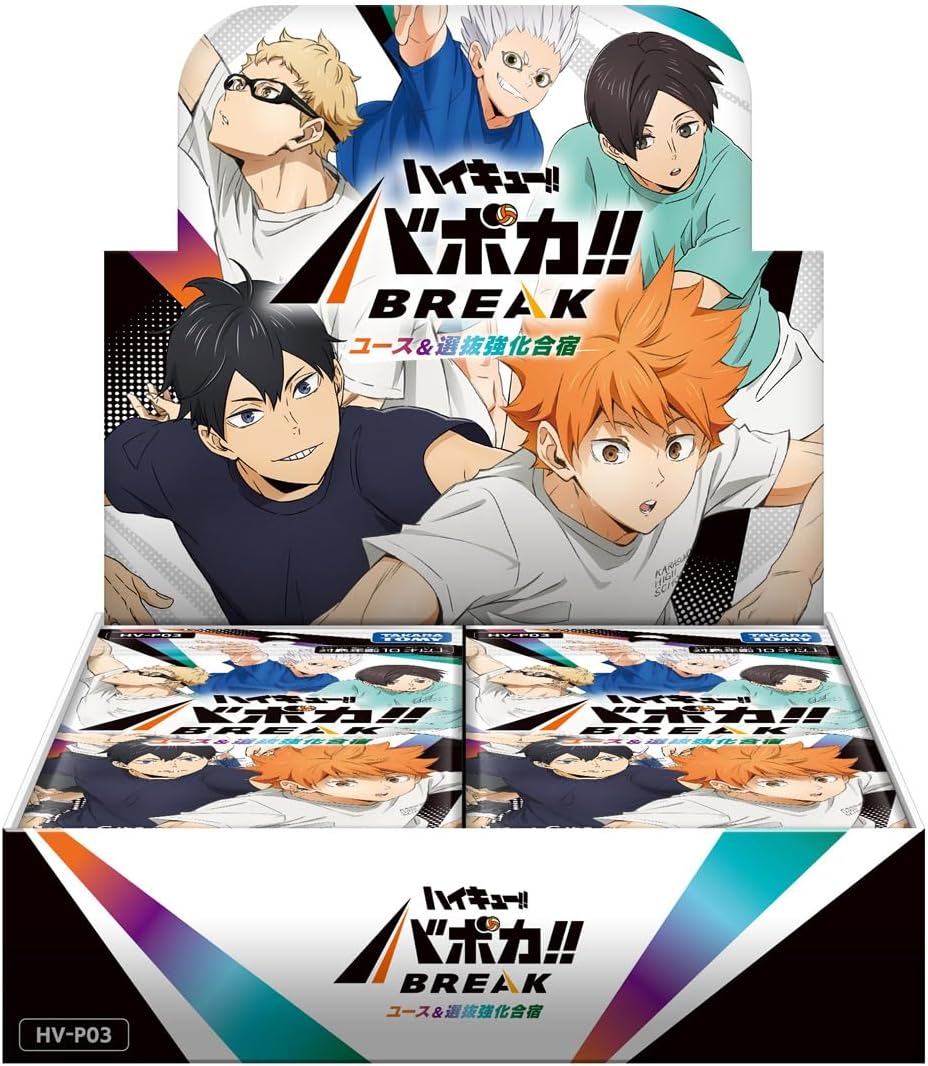 Display HV-P03 Haikyuu Vobaca Youth Camp