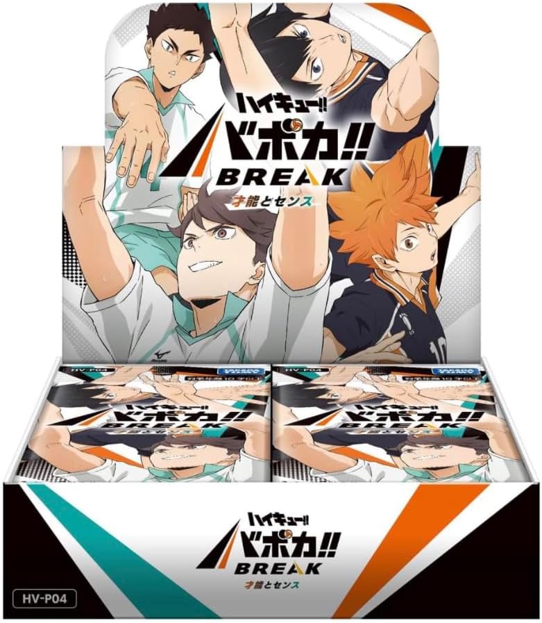 Display HV-P04 Haikyuu Vobaca Talent and Sense