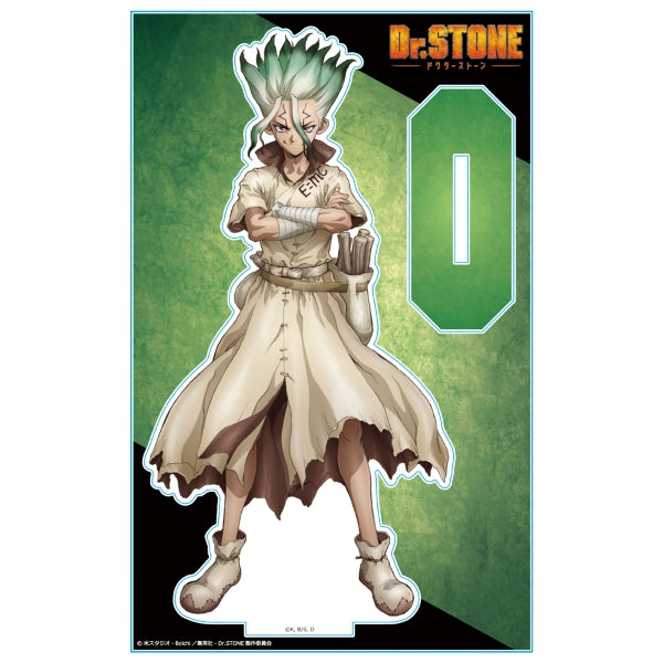 Acrylique Stand Dr. Stone Au Choix
