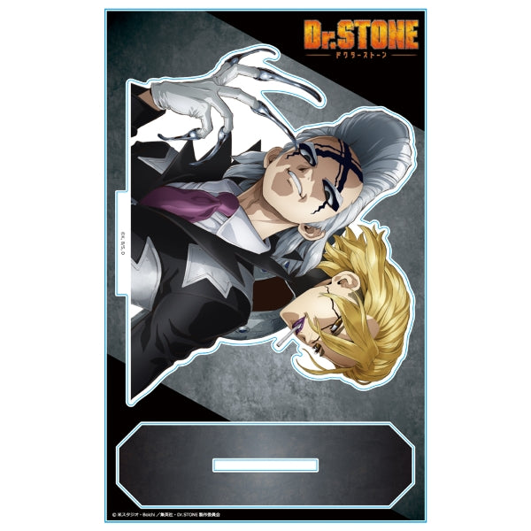 Acrylique Stand Dr. Stone Au Choix
