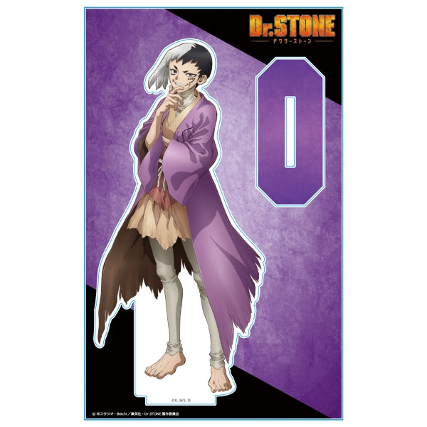 Acrylique Stand Dr. Stone Au Choix