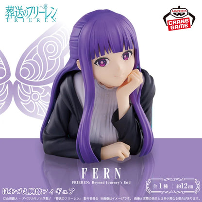 Figurine Fern Kyuzo Ver. Frieren
