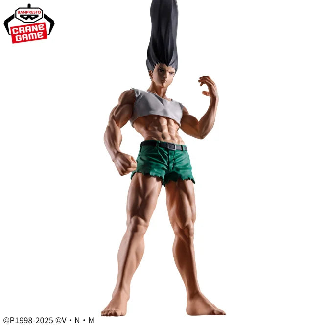 Figurine Gon Freecss Figlife Hunter X Hunter