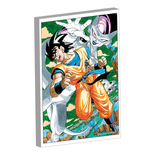 Canvas Dragon Ball Au Choix