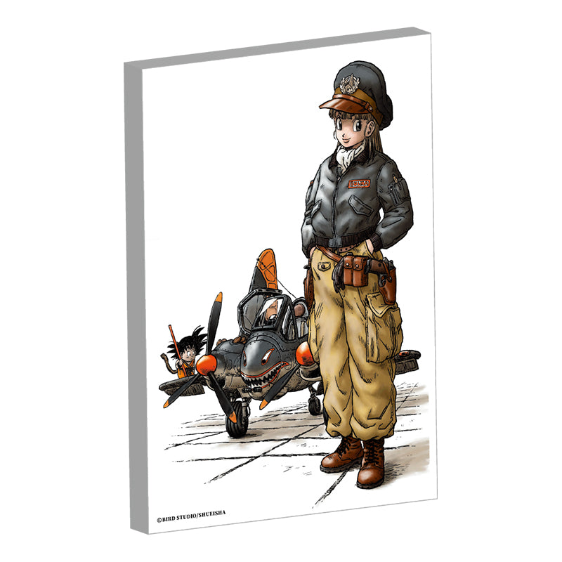 Canvas Dragon Ball Au Choix