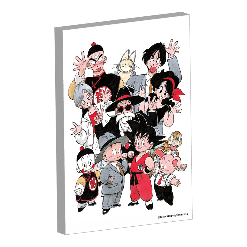 Canvas Dragon Ball Au Choix