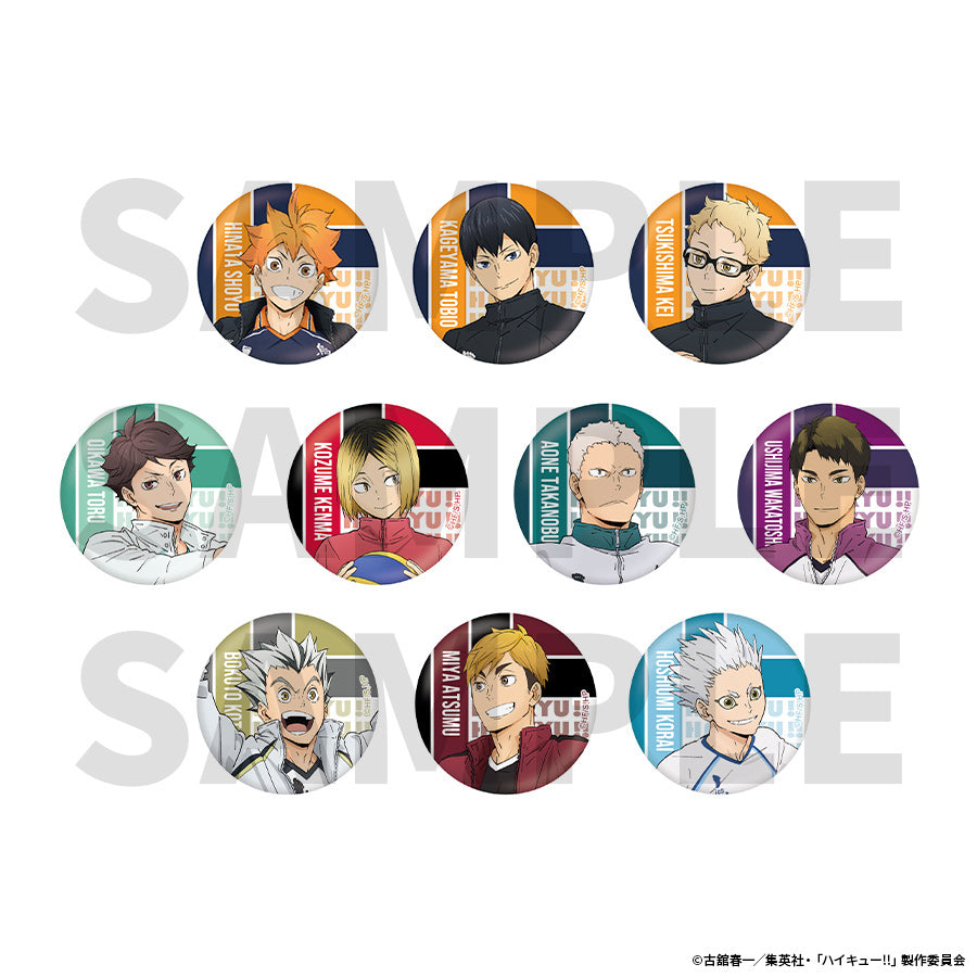 Badge Aleatoire Haikyuu 10th Anniversary Anime Exhibition