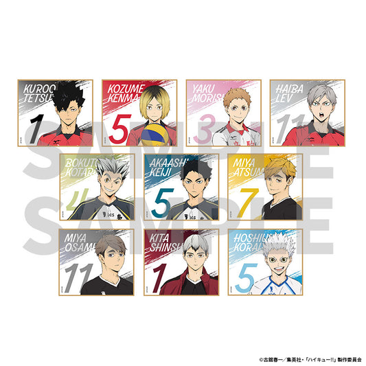 Shikishi Aleatoire Ver.B Haikyuu 10th Anniversary Anime Exhibition