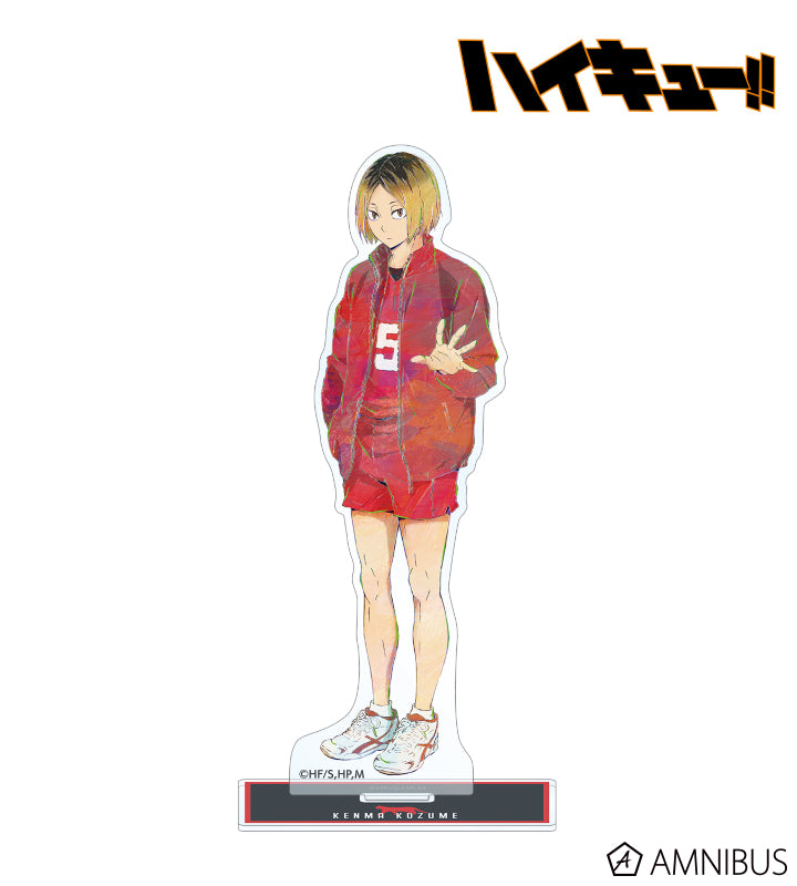 Acrylique Stand Haikyuu Ani-Art Au Choix