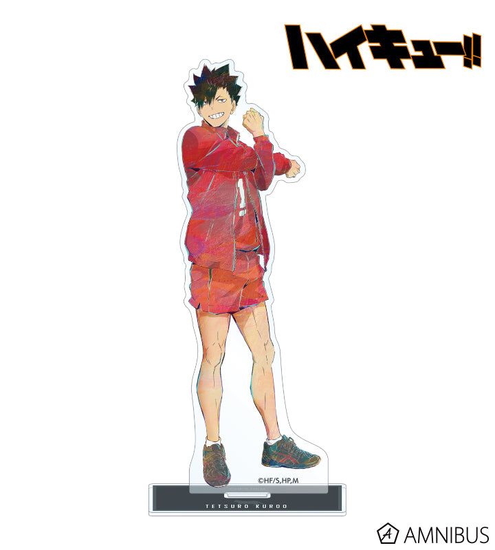 Acrylique Stand Haikyuu Ani-Art Au Choix