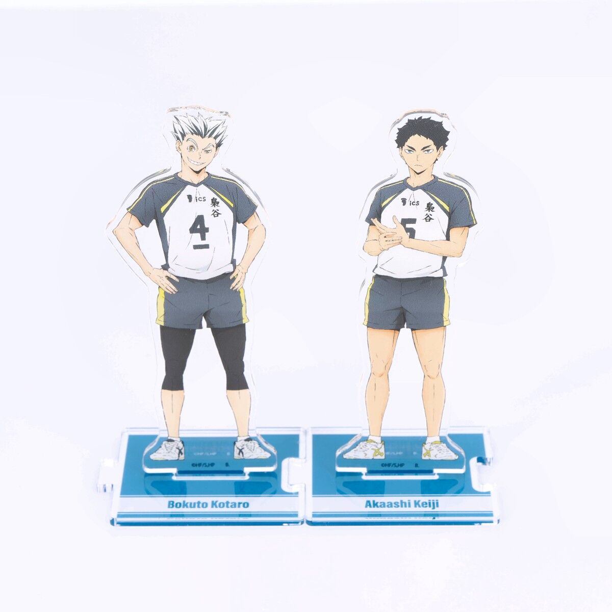 Acrylique Stand Haikyuu Team Karasuno Set Complet Au Choix