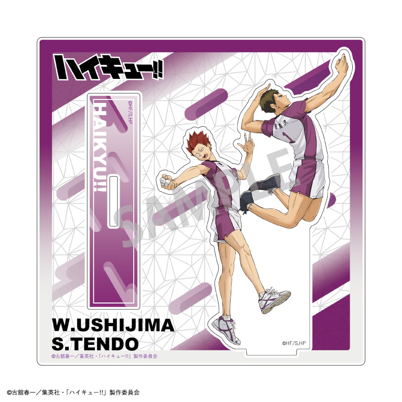 Acrylique Stand Haikyuu Duo Ver. Au Choix