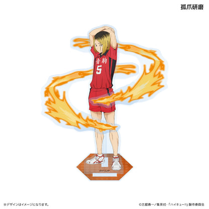 Stand Acrylique Haikyuu Effect Ver. Au Choix