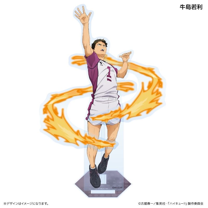 Stand Acrylique Haikyuu Effect Ver. Au Choix