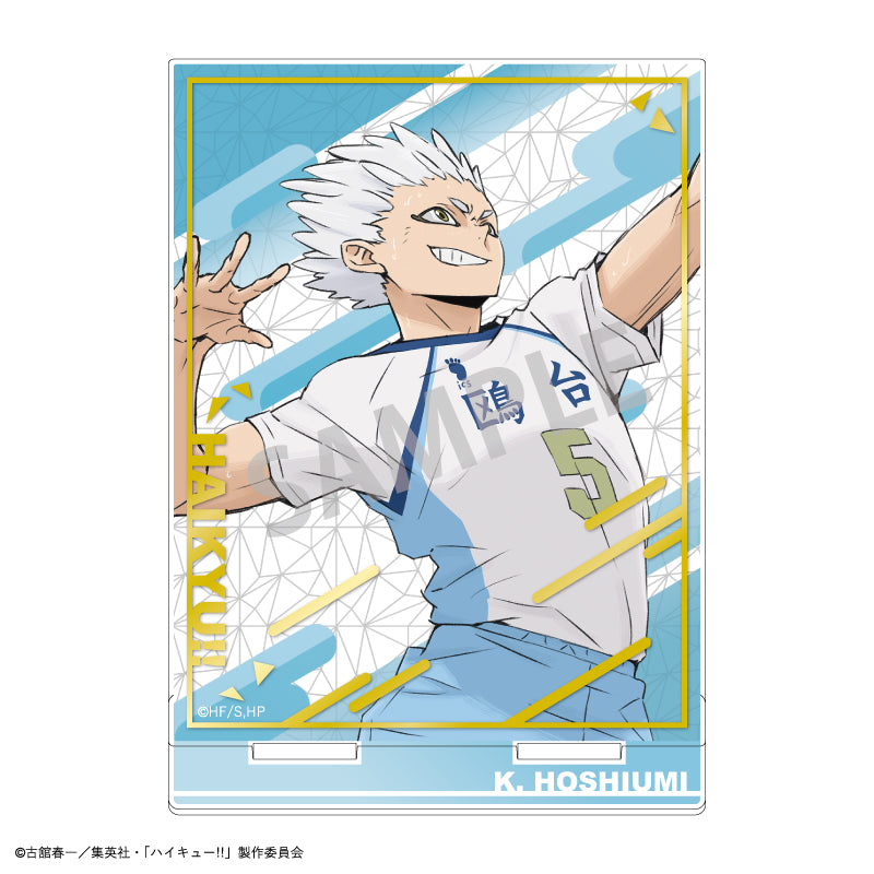 Acrylique Stand Haikyuu Gilding Ver. Au Choix