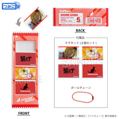 Acrylique Stand Haikyuu Tsumikoma Ver. Au Choix