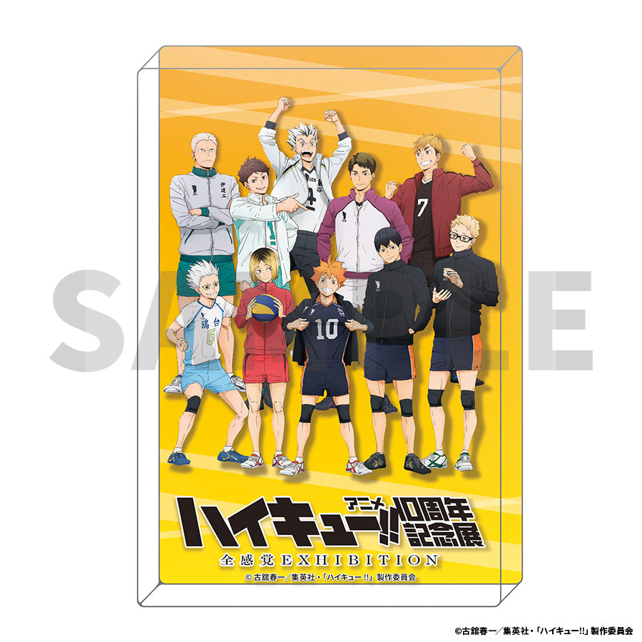 Bloc Acrylique Haikyuu 10th Anniversary Anime Exhibition