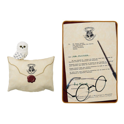 Harry Potter (Last One) Ichiban Kuji Wizarding World Series 2 Pillow &amp; Blanket 