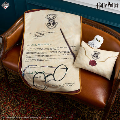 Harry Potter (Last One) Ichiban Kuji Wizarding World Series 2 Pillow &amp; Blanket 