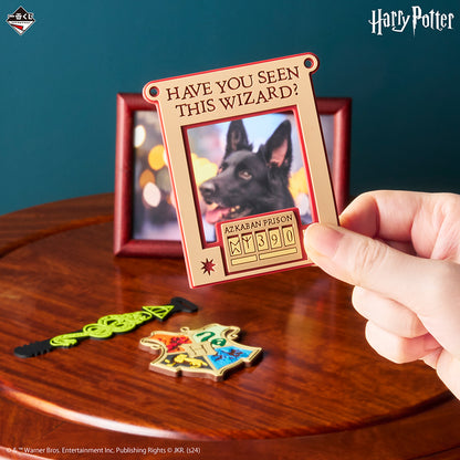 Rubber Charm Harry Potter (F) Ichiban Kuji Wizarding World Series 2 Set Complet