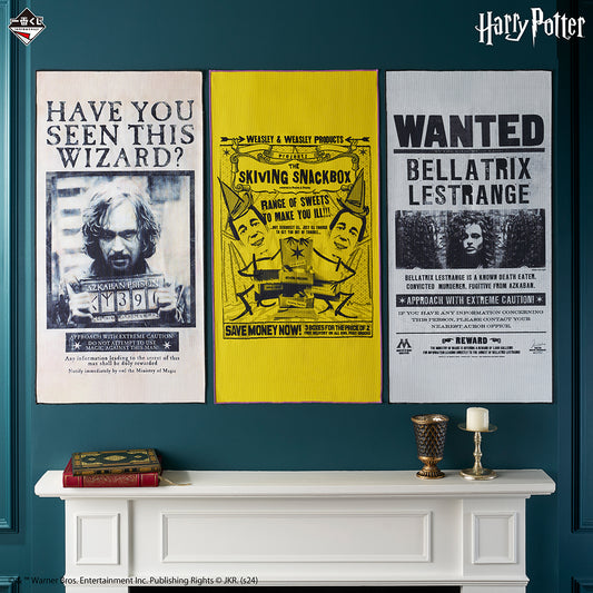 Serviette Harry Potter (C) Ichiban Kuji Wizarding World Series 2 Set Complet