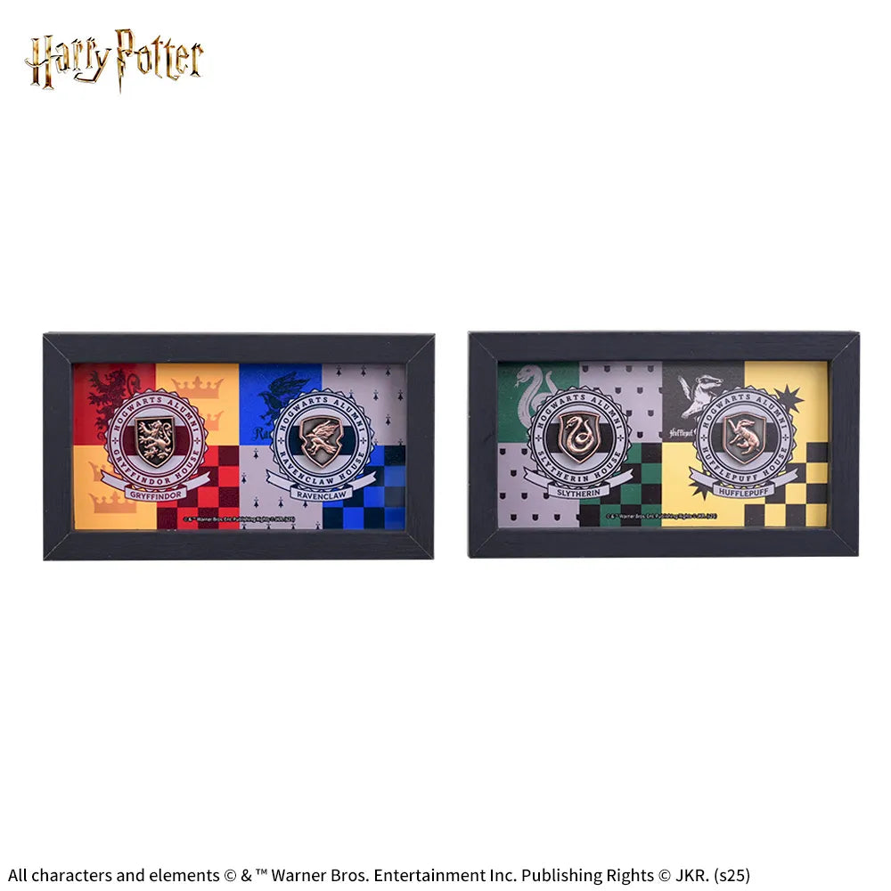 Pins Harry Potter Luminasta Harry Potter