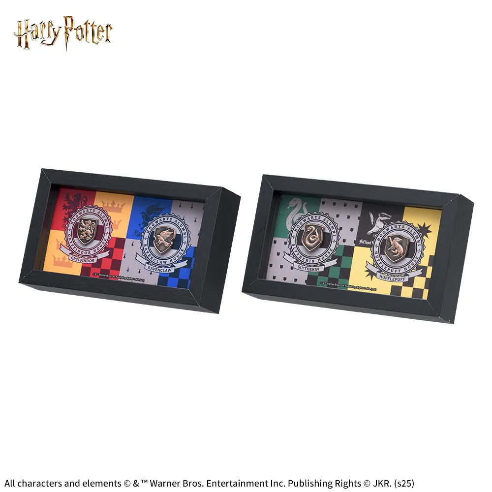 Pins Harry Potter Luminasta Harry Potter