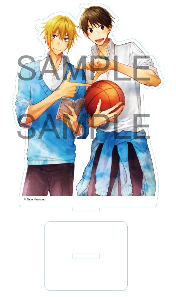 Acrylique Stand Hirano and Kagiura Commemorative Acrylic Ver. Hirano and Kagiura Au Choix