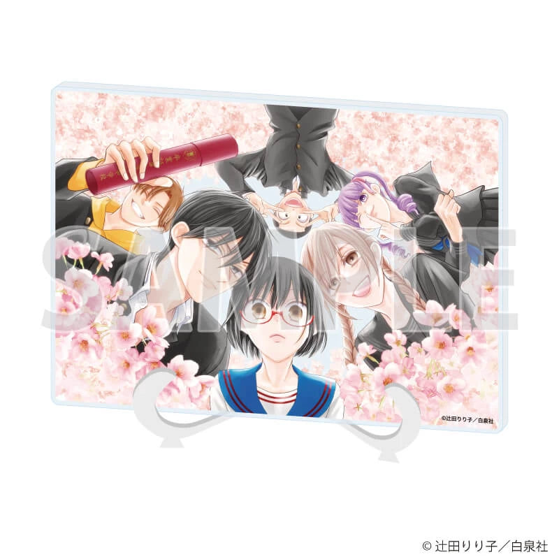 Acrylique Board Lala 50th Anniversary Au Choix
