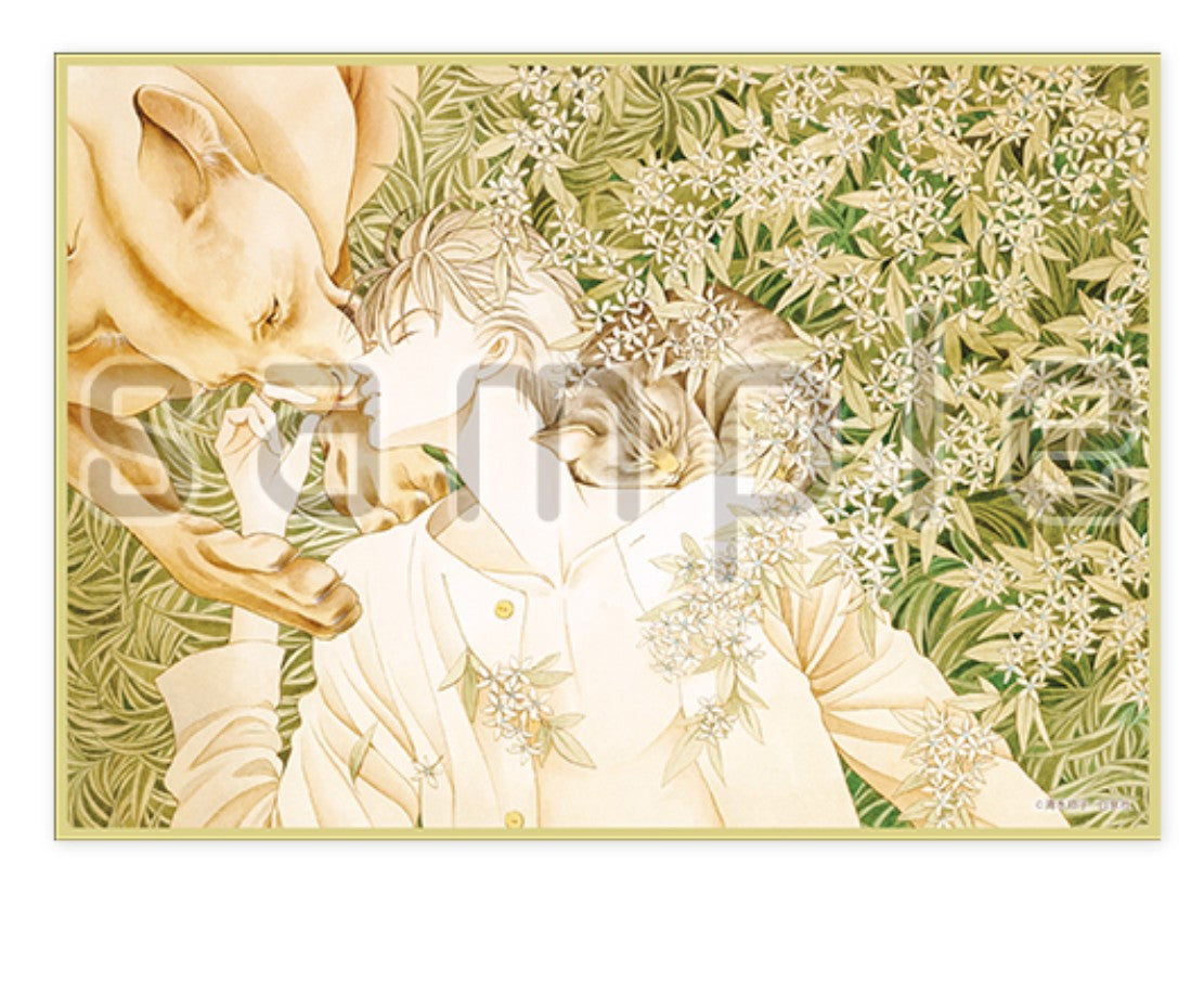 Shikishi Lala 50th Anniversary Exhibition Au Choix