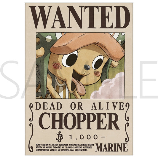 Poster Wanted Chopper One Piece