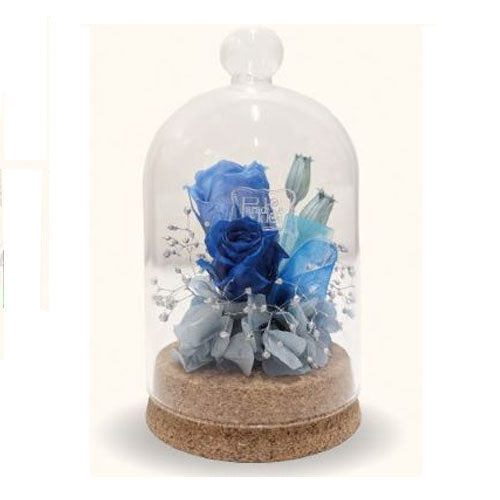 Flower Dome Paradise Kiss 25th Anniversary Pop Up Shop