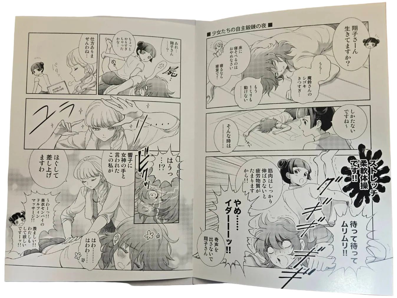 Acrylique Stand Saint Seiya Saintia Sho - Memories + Illustration Collector