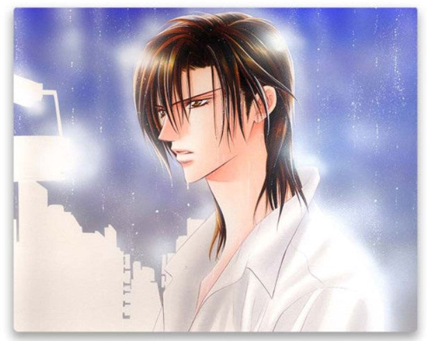 Canvas Ver.C Skip beat! Original Art Exhibition